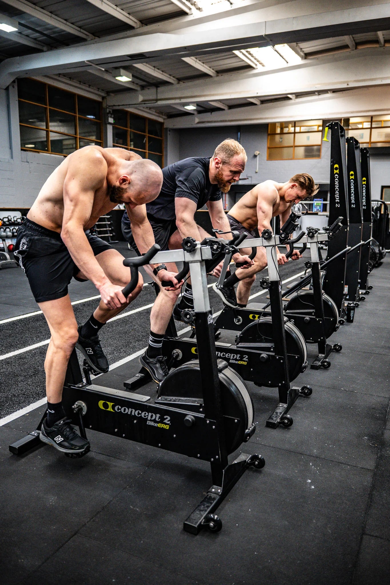 BikeErg Concept2